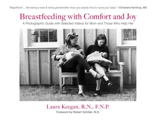 Cover of the book Breastfeeding with Comfort and Joy by Laura Keegan, Lifeforce Family Health Care