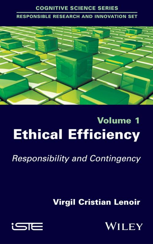 Cover of the book Ethical Efficiency by Virgil Cristian Lenoir, Wiley