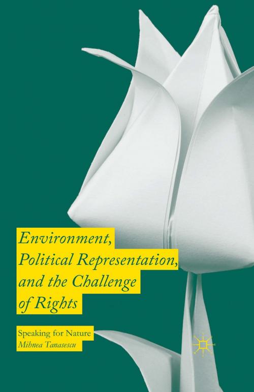 Cover of the book Environment, Political Representation and the Challenge of Rights by Mihnea Tanasescu, Palgrave Macmillan UK