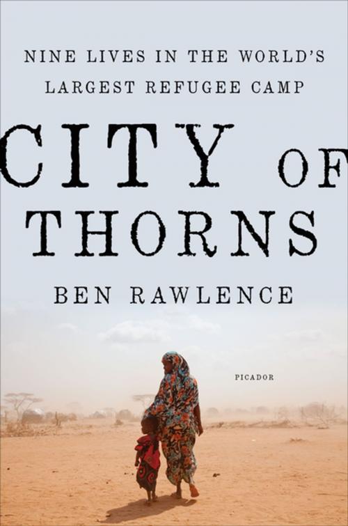 Cover of the book City of Thorns by Ben Rawlence, Picador