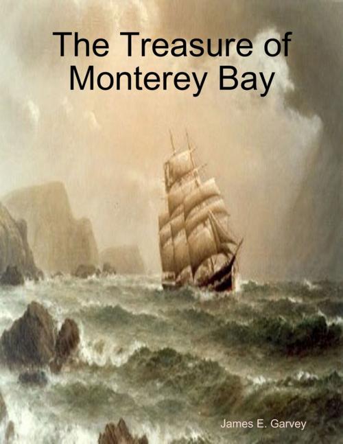 Cover of the book The Treasure of Monterey Bay by James Garvey, Lulu.com