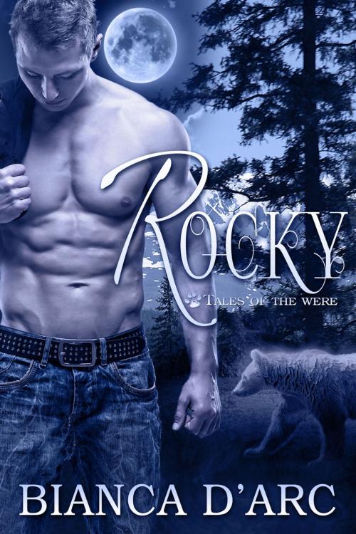 Cover of the book Rocky by Bianca D'Arc, Hawk Publishing
