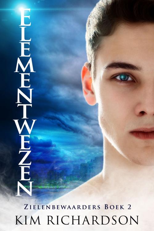 Cover of the book Elementwezen by Kim Richardson, Kim Richardson
