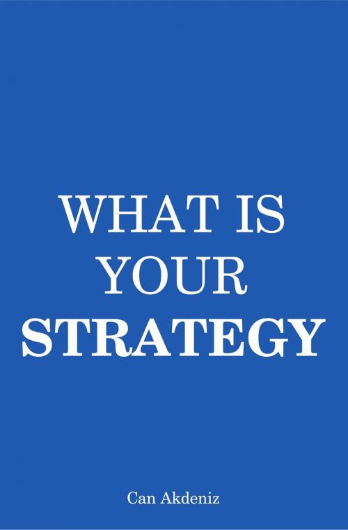 Cover of the book What Is Your Strategy: A Guide to Making Perfect Strategies (Self Improvement & Habits) by Can Akdeniz, IntroBooks