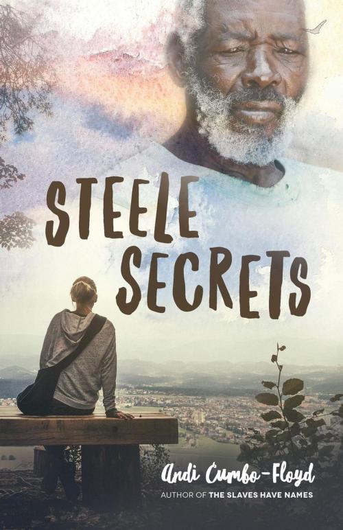 Cover of the book Steele Secrets by Andi Cumbo-Floyd, Andi Cumbo-Floyd