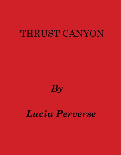 Cover of the book Thrust Canyon by Lucia Perverse, Lucia Perverse