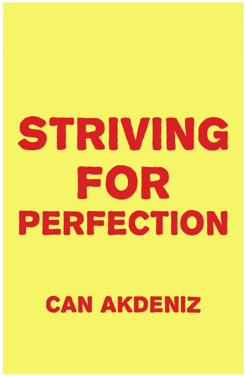 Cover of the book Striving for Perfection: And How It Effects Our Lives by Can Akdeniz, IntroBooks