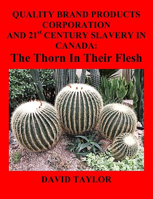 Cover of the book Quality Brand Products Corporation And 21st Century Slavery In Canada: The Thorn In Their Flesh by David Taylor, David Taylor