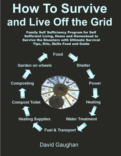 Cover of the book How To Survive and Live Off the Grid: Family Self Sufficiency Program for Self Sufficient Living, Home and Homestead to Survive the Disasters with Ultimate Survival Tips, Kits, Skills Food and Guide by David Gaughan, David Gaughan