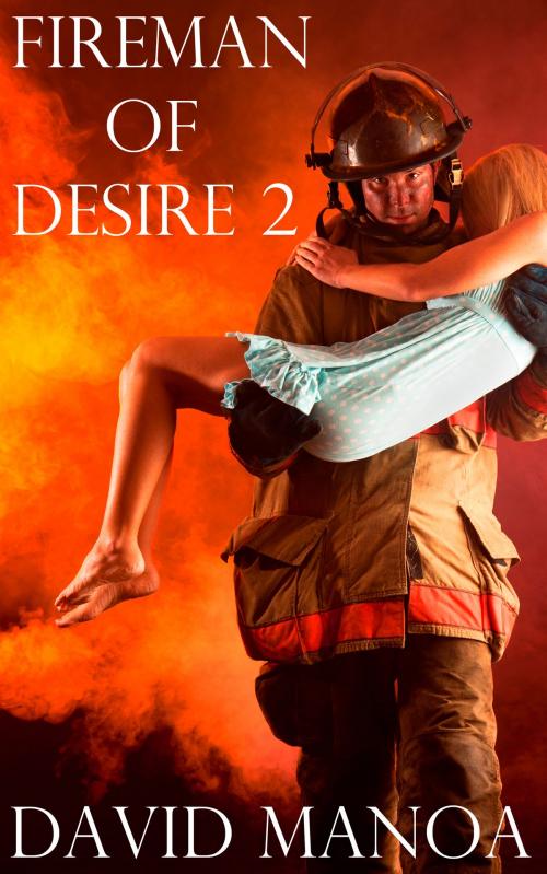 Cover of the book Fireman of Desire 2 by David Manoa, David Manoa
