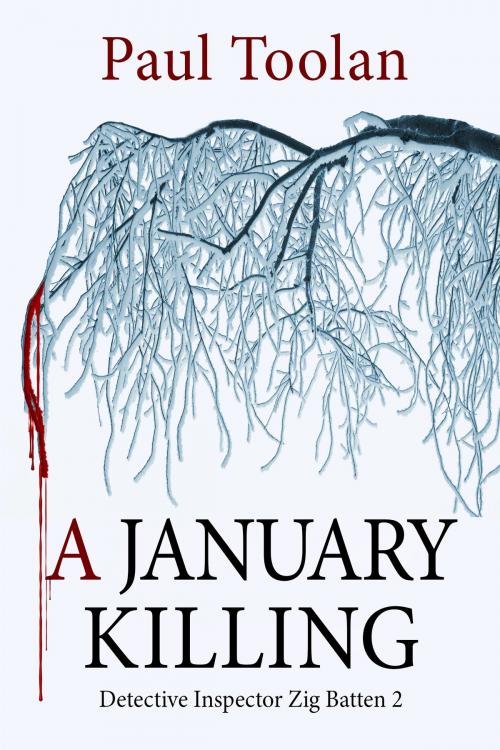 Cover of the book A January Killing by Paul Toolan, Paul Toolan