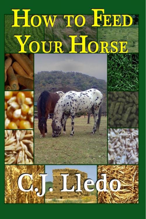 Cover of the book How to Feed Your Horse: An Owner's Guide to Calculating Your Horse's Diet by CJ Lledo, CJ Lledo