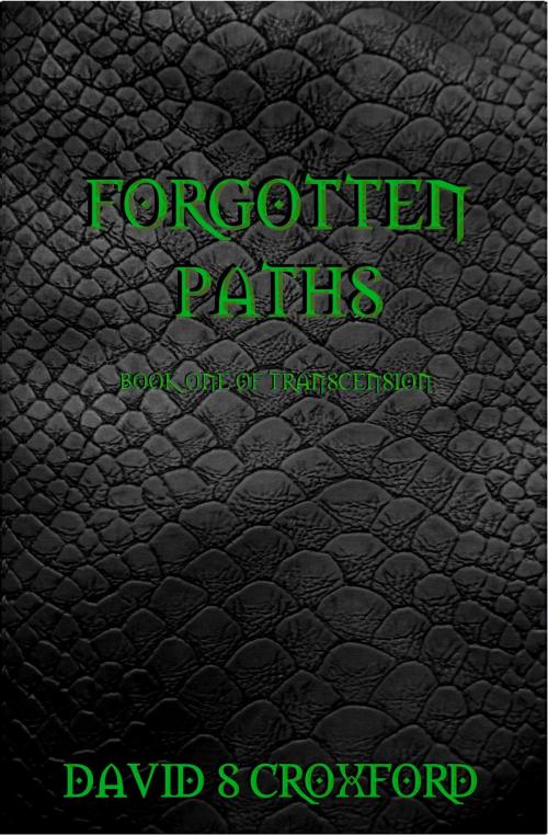 Cover of the book Forgotten Paths: Book One of Transcension by David S Croxford, David S Croxford