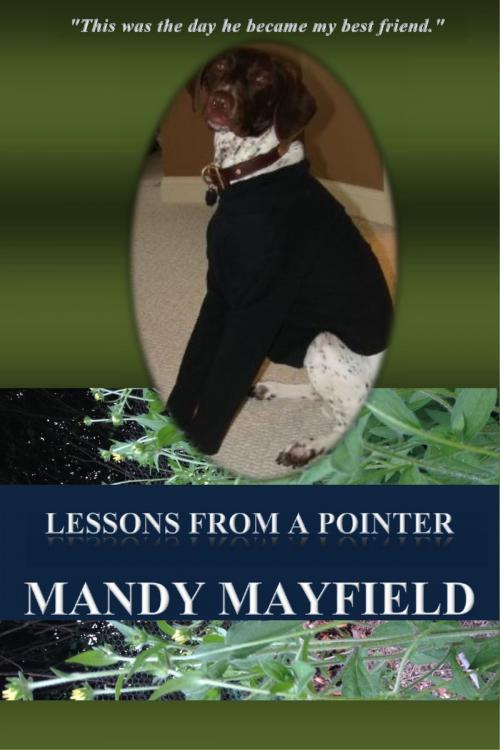 Cover of the book Lessons From A Pointer by Mandy Mayfield, Mandy Mayfield