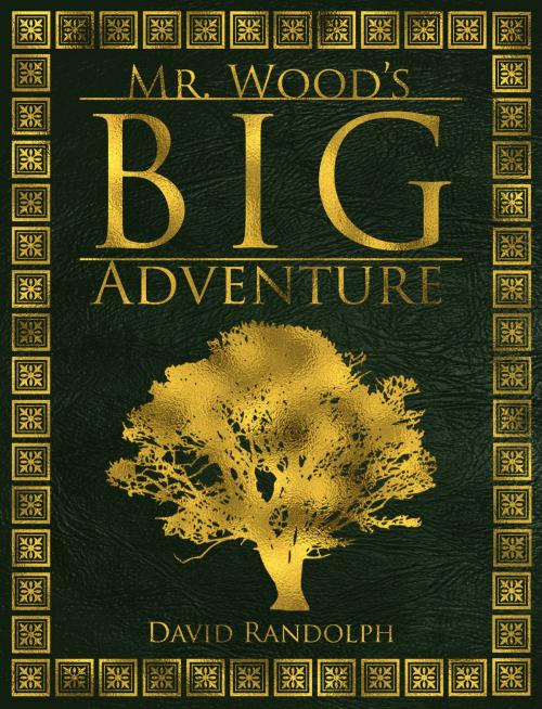 Cover of the book Mr. Wood's Big Adventure by David Randolph, David Randolph