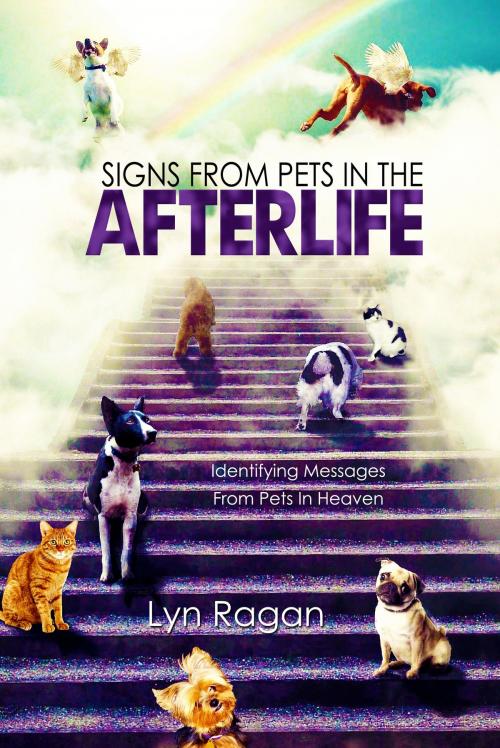 Cover of the book Signs From Pets In The Afterlife by Lyn Ragan, Lyn Ragan