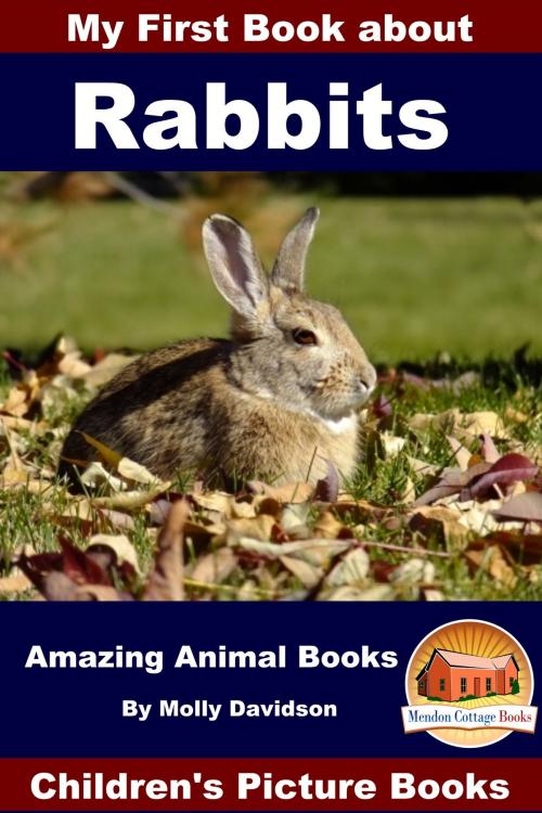 Cover of the book My First Book about Rabbits: Amazing Animal Books - Children's Picture Books by Molly Davidson, Mendon Cottage Books