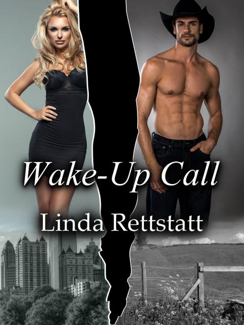 Cover of the book Wake-Up Call by Linda Rettstatt, Linda Rettstatt