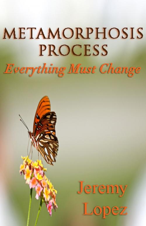 Cover of the book Metamorphosis Process by Jeremy Lopez, Jeremy Lopez