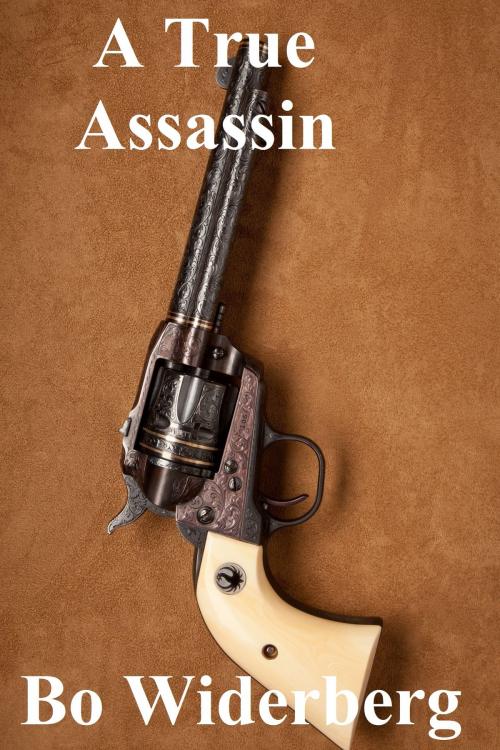 Cover of the book A True Assassin by Bo Widerberg, Bo Widerberg