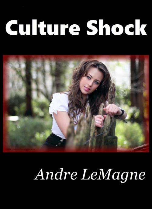 Cover of the book Culture Shock by Andre LeMagne, Andre LeMagne