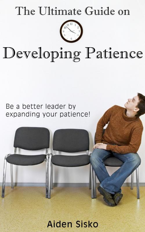 Cover of the book The Ultimate Guide on Developing Patience by Aiden Sisko, JNR Publishing