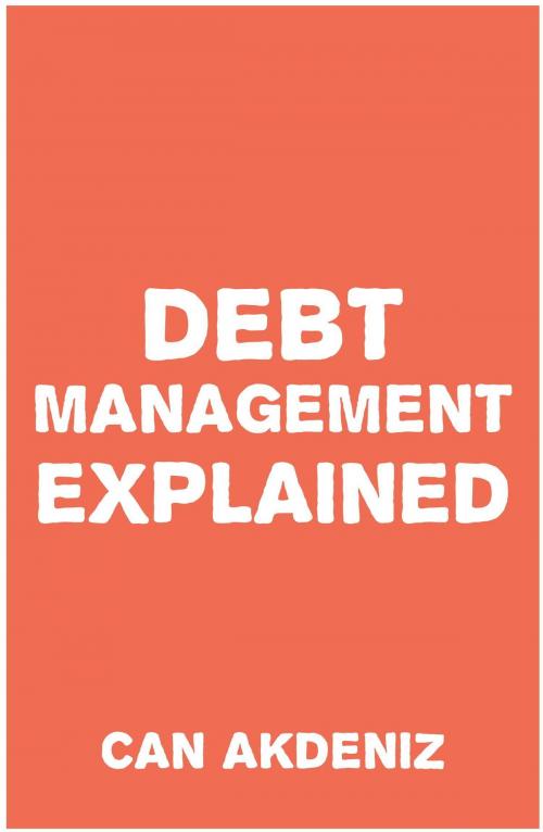 Cover of the book Debt Management Explained by Can Akdeniz, IntroBooks