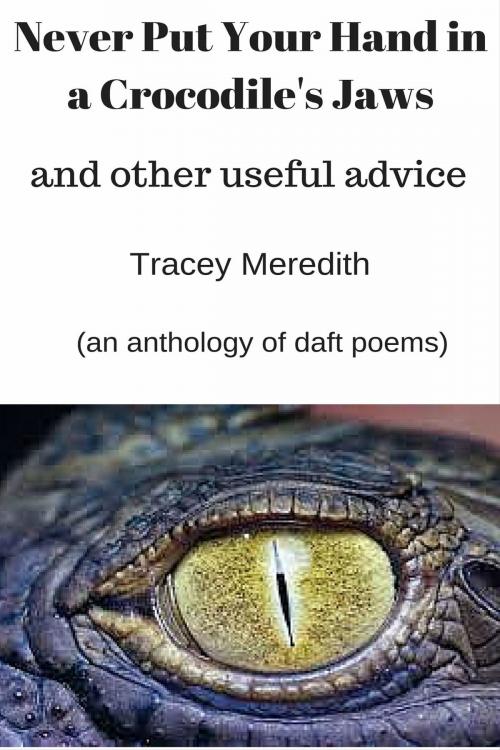 Cover of the book Never Put Your Hand in a Crocodile's Jaws (and Other Useful Advice) by Tracey Meredith, Tracey Meredith