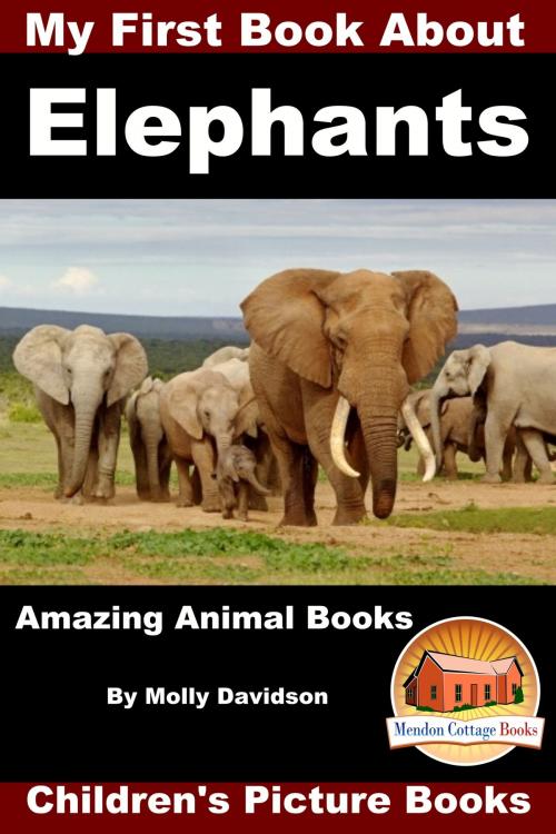 Cover of the book My First Book about Elephants: Amazing Animal Books - Children's Picture Books by Molly Davidson, Mendon Cottage Books