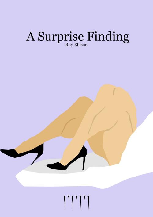 Cover of the book A Surprise Finding by Roy Ellison, Roy Ellison
