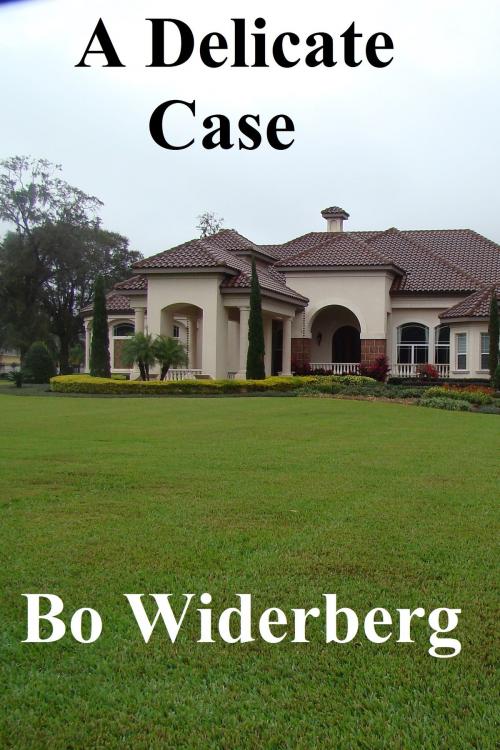 Cover of the book A Delicate Case by Bo Widerberg, Bo Widerberg