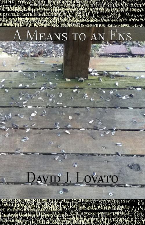 Cover of the book A Means to an Ens by David J. Lovato, David J. Lovato