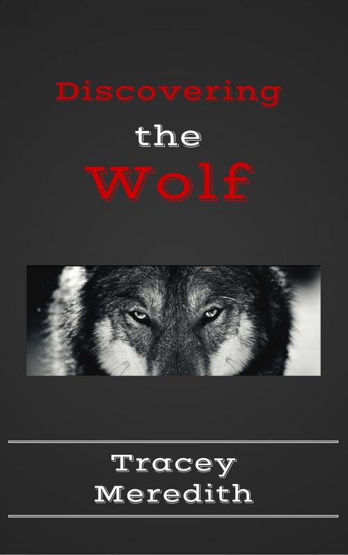 Cover of the book Discovering the Wolf by Tracey Meredith, Tracey Meredith