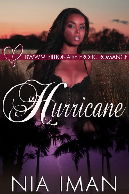 Cover of the book Hurricane by Nia Iman, Jynxed Moon