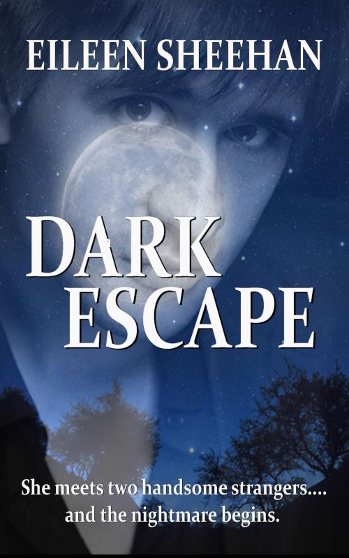 Cover of the book Dark Escape by Eileen Sheehan, Earth Wise Books