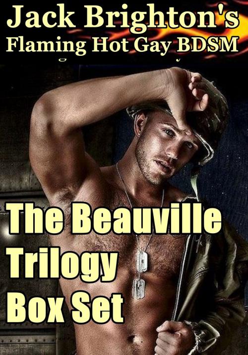 Cover of the book The Beauville Trilogy Box Set by Jack Brighton, Firm Hand Books