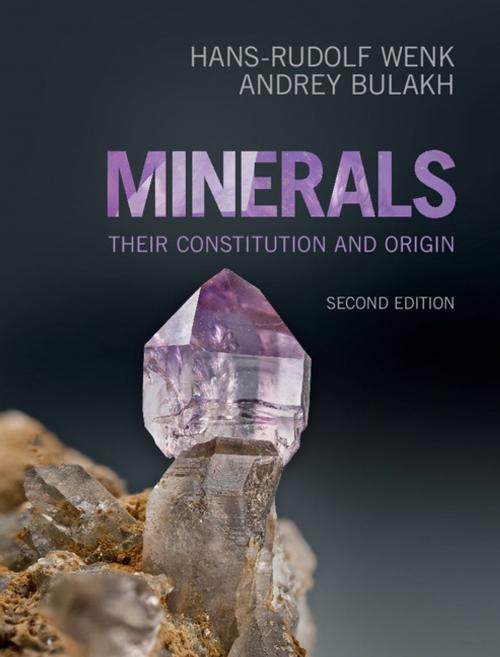 Cover of the book Minerals by Hans-Rudolf Wenk, Andrey Bulakh, Cambridge University Press