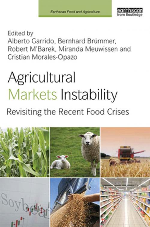 Cover of the book Agricultural Markets Instability by , Taylor and Francis