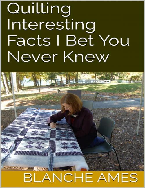Cover of the book Quilting: Interesting Facts I Bet You Never Knew by Blanche Ames, Lulu.com
