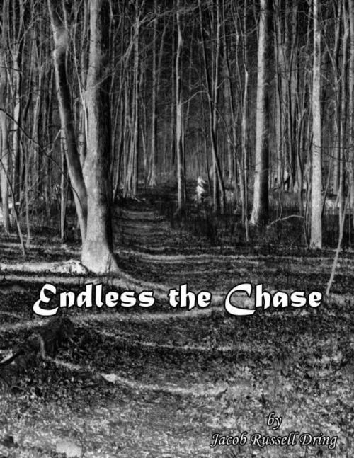 Cover of the book Endless the Chase by Jacob Russell Dring, Lulu.com