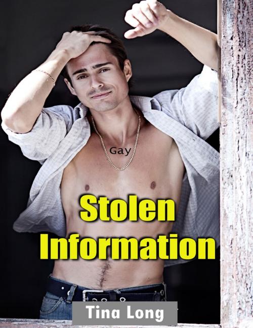 Cover of the book Gay: Stolen Information by Tina Long, Lulu.com