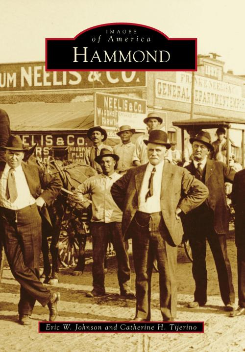 Cover of the book Hammond by Eric W. Johnson, Catherine H. Tijerino, Arcadia Publishing Inc.