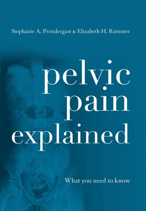 Cover of the book Pelvic Pain Explained by Stephanie A. Prendergast, Elizabeth H. Akincilar, Rowman & Littlefield Publishers