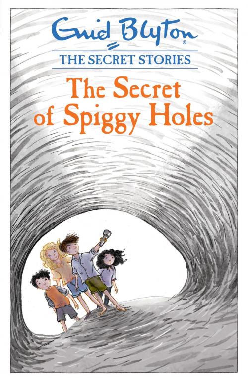 Cover of the book The Secret of Spiggy Holes by Enid Blyton, Hachette Children's