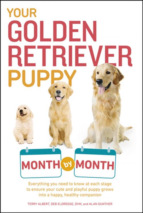 Cover of the book Your Golden Retriever Puppy Month by Month by Terry Albert, Debra Eldredge DVM, Alan Gunther, DK Publishing