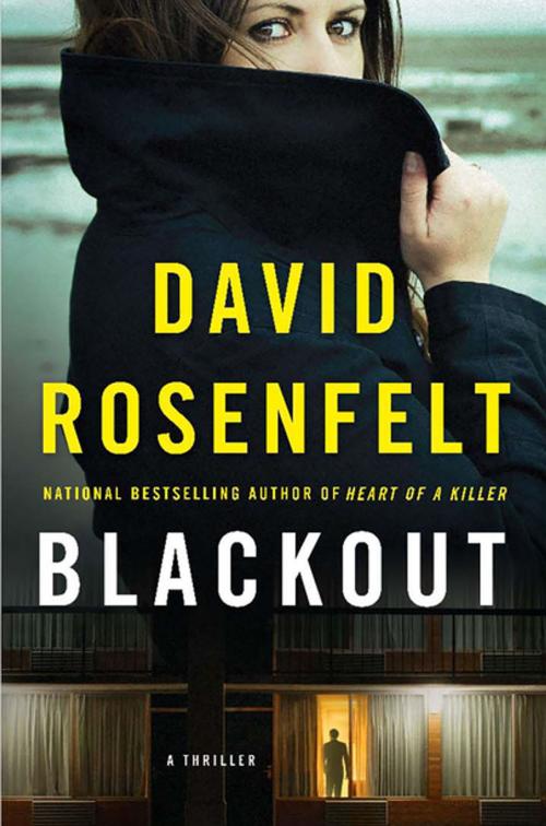 Cover of the book Blackout by David Rosenfelt, St. Martin's Press
