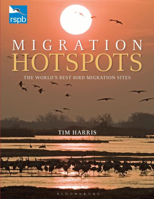 Cover of the book RSPB Migration Hotspots by Tim Harris, Bloomsbury Publishing