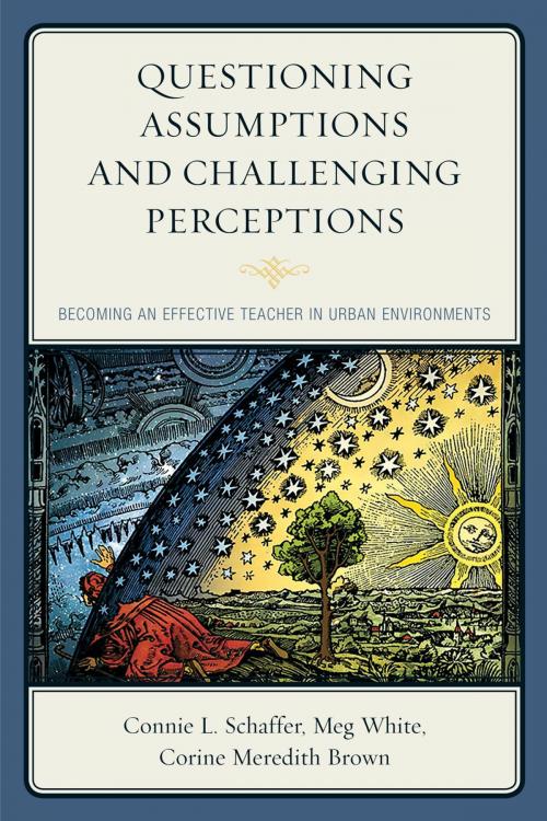 Cover of the book Questioning Assumptions and Challenging Perceptions by Connie L. Schaffer, Meg White, Corine Meredith Brown, Rowman & Littlefield Publishers