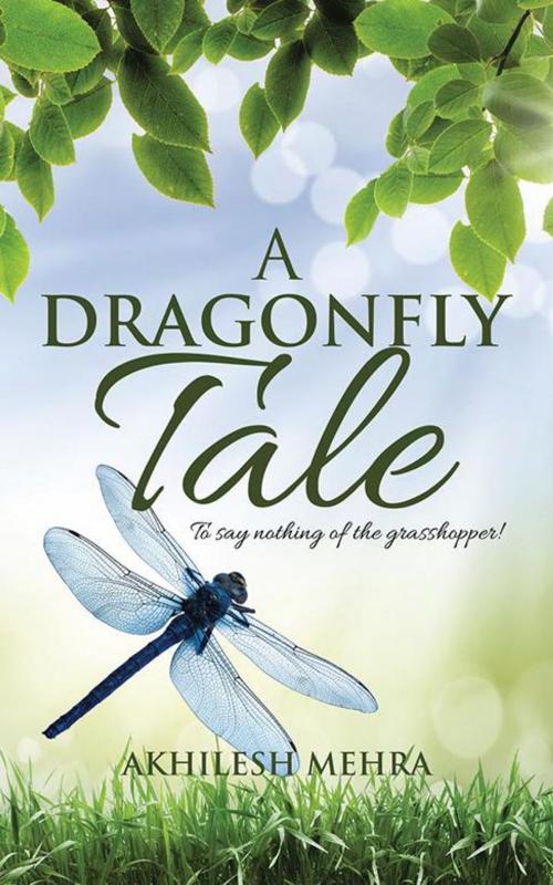 Cover of the book A Dragonfly Tale by Akhilesh Mehra, Partridge Publishing India