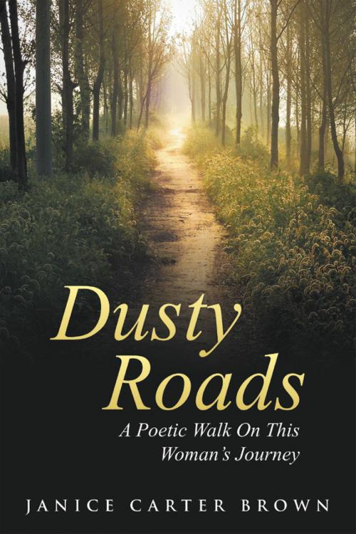 Cover of the book Dusty Roads by Janice Brown, WestBow Press